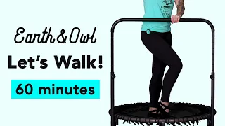 Gentle 60 Minute Rebounder Walk Workout Seniors and Beginners Closed Chain Movement With Earth & Owl