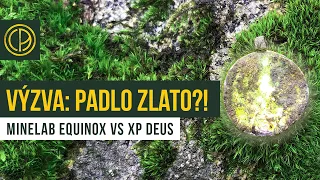 Metaldetecting challenge: Equinox vs Deus - which will find better silver coins?