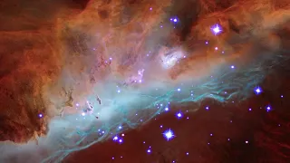 Cosmic Reef: NGC 2014 & NGC 2020