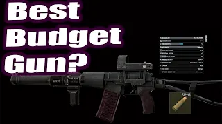 VSS Best Budget Gun? | EFT Gun Build