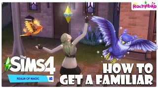 How to get a familiar in The Sims 4 REALM OF MAGIC!