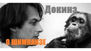 Ричард Докинз - сравнивая человека и шимпанзе