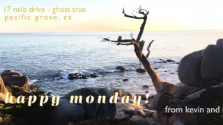 Ghost Tree on the 17 mile Drive