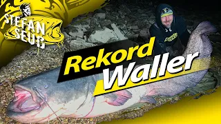 XXL MONSTER WALLER aus Deutschland | Welsangeln am Fluss | Angeln mit Köderfisch und Tauwurm