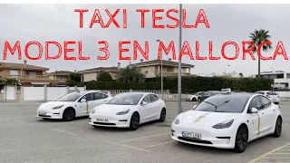 Tesla Model 3 Taxi en Palma. Entrevistamos a sus propietarias 2