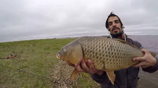 PESCA DE CARPAS Y BAGRES EN EL TAJAMAR- PILA