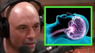 Joe Rogan - The Science of Sleep