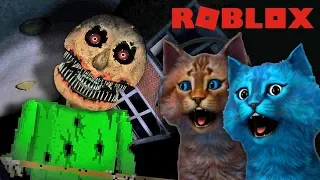 ПРЯТКИ С БАЛДИ в РОБЛОКС / BALDI'S BASICS Hide And Seek ROBLOX / ЗАБРОШКА и ТЕМНЫЙ ЛЕС