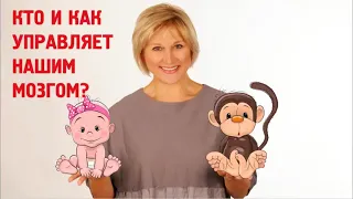 Ольга Алексеевна Бутакова   вебинар «Как мозг управляет нами» 18 01 2018г