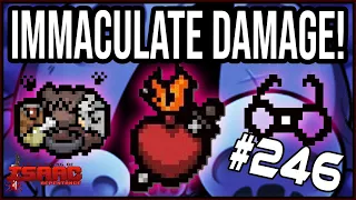 IMMACULATE Damage! - The Binding Of Isaac: Repentance #246