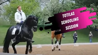 Watch Edward Gal & Totilas School For The Grand Prix Dressage Test