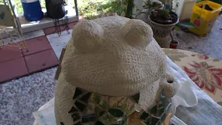 Mosaic Frog