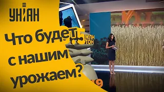 В этом году в Украине собрали наименьший урожай