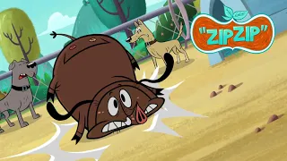 C'est plus drôle d'être un chien | Zip Zip français | Episode complet | S1 | Dessin animé