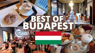 Best Cafes in Budapest 2021 | New York Café, Gerbeaud, Cirkuz, and a Bonus!