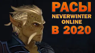 РАСЫ Neverwinter Online в 2020 (обзор)