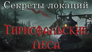 Секреты локаций. Что скрывают Тирисфальские леса?