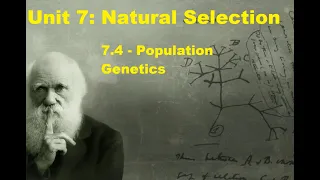 AP Biology - Unit 7 - 7.4 - Population Genetics #apbio #evolution #naturalselection