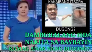 DAMBUHALANG ISDA NAKITA SA BAYBAYIN | DUGONG?