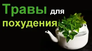 Лучшие травы для похудения сжигающие жир…