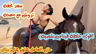 أقوى خلطة فيتامينات(تسمين)🐎👍🏻||فتح سعد على البوني🐎😍