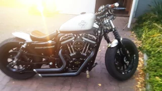 Custom Harley Davidson 48 made by Fireweed Inc