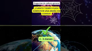 Adivina qué tan inteligente crees que eres 🤯🧠#art #shorts #reels #mrbeast #quiz #fypシ #games #viral