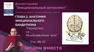 Как работает мозг. Читаем вместе! Дэниел Гоулман "Эмоциональный интеллект" с.48-54