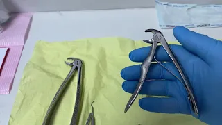 The extraction forceps of primary teeth , how grip it and how to extract primary teeth