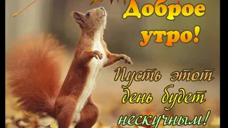 С добрым сентябрьским утром!