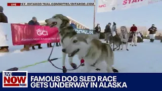 Alaska's iconic Iditarod Trail Sled Dog Race kicks off this weekend | LiveNOW from FOX