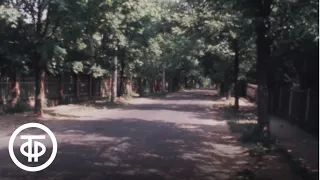 Клуб кинопутешествий. Эфир 19.07.1981. Поселок художников "Сокол" (1981)