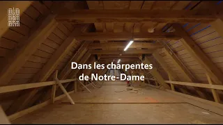 Plongez dans les charpentes de Notre-Dame de Paris