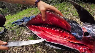 Bluefin Tuna Catch n' Cook
