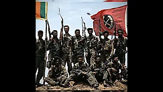 ඔය කන්දේ අනිවාර්යෙන් කොඩිය දානවා 🇱🇰🔥 Commando Kadira  Thoppigala Operation#srilankaarmy#ltte #shorts