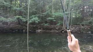 Newfound River NH | #fishing #river #bass