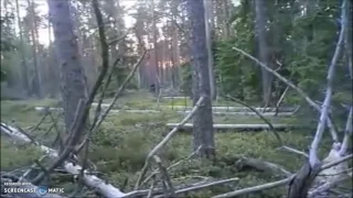 Huge Bigfoot Sprints Away From People - Original Video