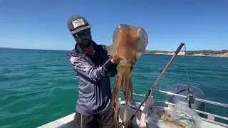 Awesome Calamari fishing in Westernport!! they were on FIRE!