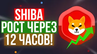 SHIBA - ЭТО ТОЧНО ВАС УДИВИТ! РОСТ НЕ ЗАГОРАМИ!