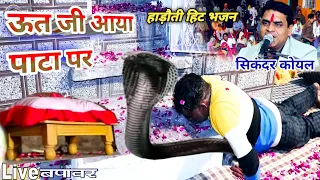 ऊत जी आया पाटा पर | सिकंदर कोयल | हाड़ौती भजन | नदियां मिलगी समुद्रा में | #utji_Bhajan #pitar_ji