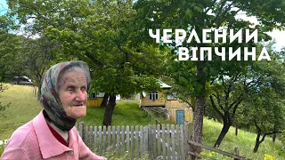 Черлений і Віпчина - присілки Яворова, які скоро можуть залишитися без людей.