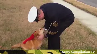 Soldiers Coming Home Surprise Compilation 3 - WELCOME HOME SOLDIERS !