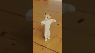 cat dance ju ju