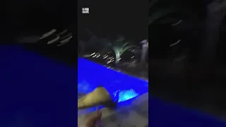 Crocodile removed from Florida pool