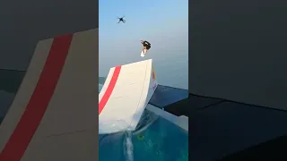 😱 THIS IS CRAZY!! Skydiving after Kitesurfing!!!