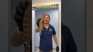 Giant Tiger Prawn didn’t stand a chance against the @ToadfishOutfitters​⁠ Frogmore Shrimp Cleaner.