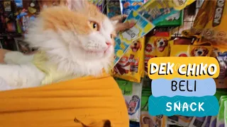 Dek Chiko Beli Snack. funny video cat cats animal animals trending kucing viral pet pets dogs tiktok