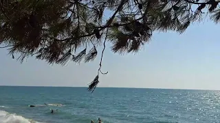 Ochamchire Beach- Abkhazia, Georgia- Summer 2023.