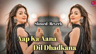 Aap Ka Aana Dil Dhadkana | Slowed Reverb | Instagram Trending Reels Song