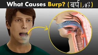 Why Do We Burp? | How To Reduce Burps?